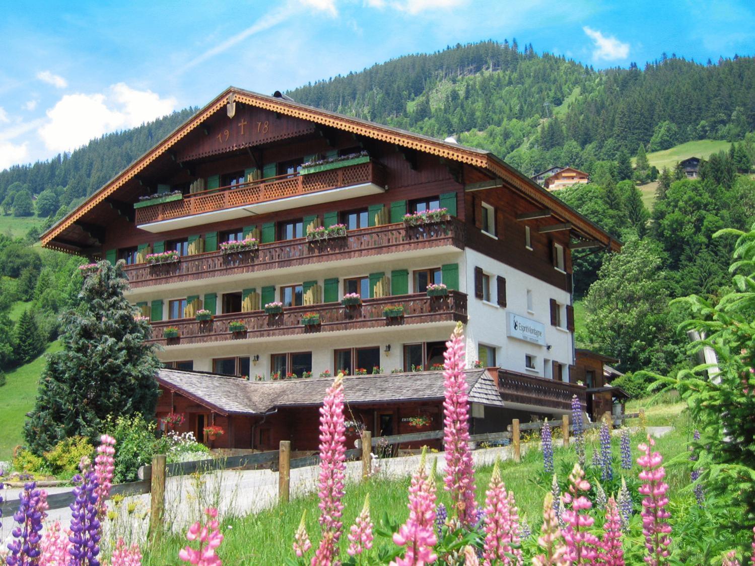 Esprit Montagne Hotel ลาชาเปล-ดาบงด็องซ์ ภายนอก รูปภาพ